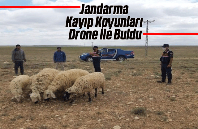 Jandarma kayıp koyunları drone ile buldu