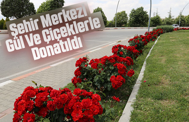 Şehir Merkezi Gül Ve Çiçeklerle Donatıldı