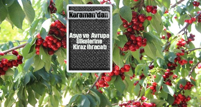 Karaman'dan Asya ve Avrupa ülkelerine kiraz ihracatı