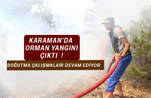 Karaman'da Orman Yangını Çıktı