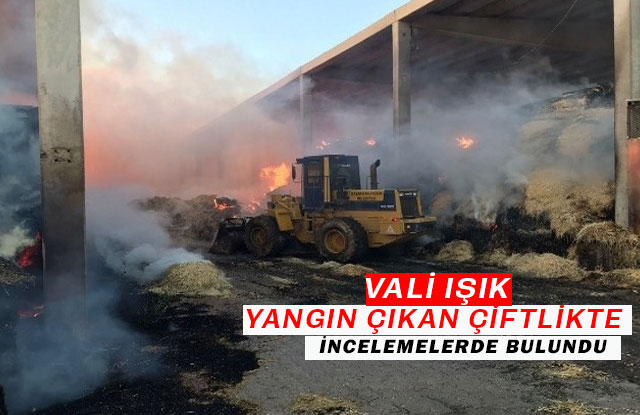 Vali Işık Yangın Çıkan Çiftlikte İncelemelerde Bulundu