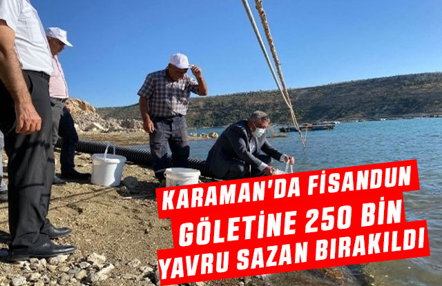 Karaman'da Fisandun Göletine 250 Bin Yavru Sazan Bırakıldı