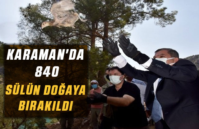 Karaman'da 840 Sülün Doğaya Bırakıldı