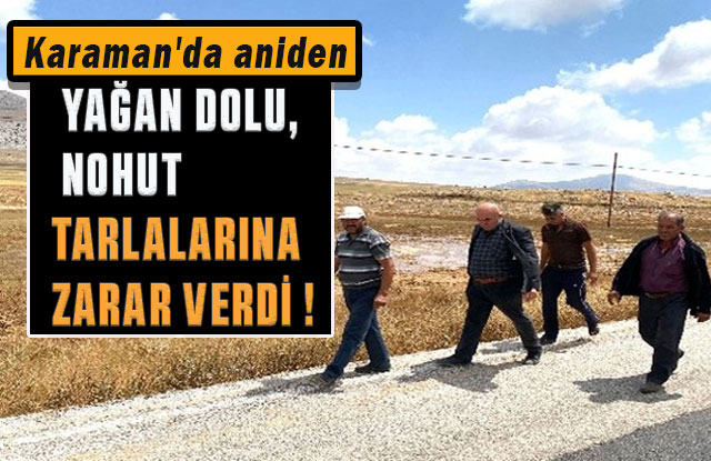 Karaman'da Aniden Yağan Dolu, Nohut Tarlalarına Zarar Verdi