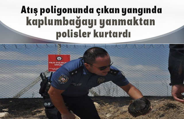 Atış Poligonunda Çıkan Yangında Kaplumbağayı Yanmaktan Polisler Kurtardı