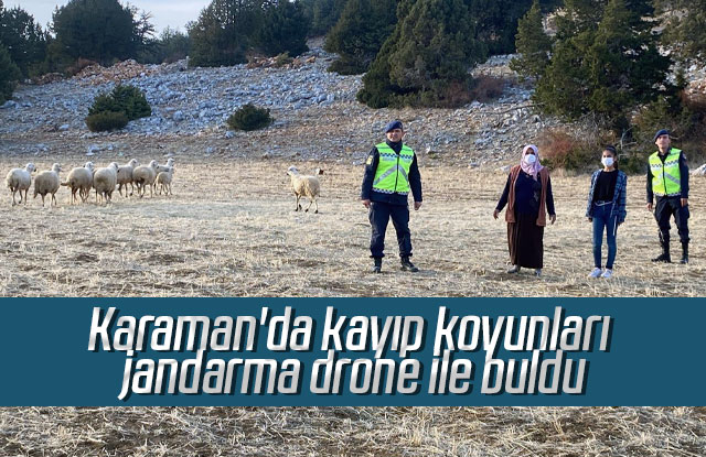 Karaman'da kayıp koyunları jandarma drone ile buldu