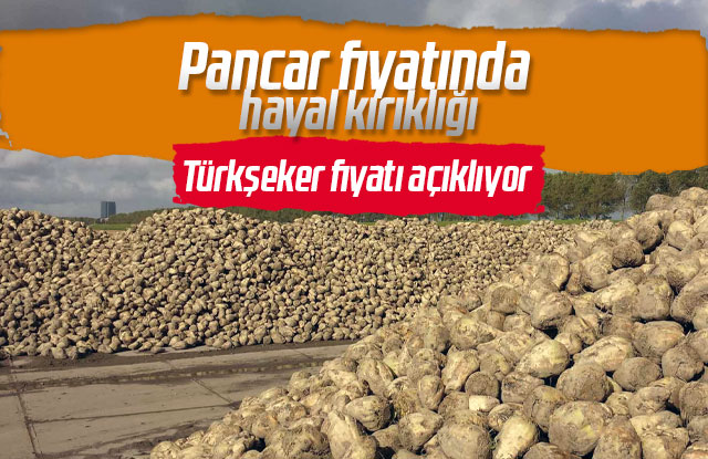 Pancar fiyatında hayal kırıklığı