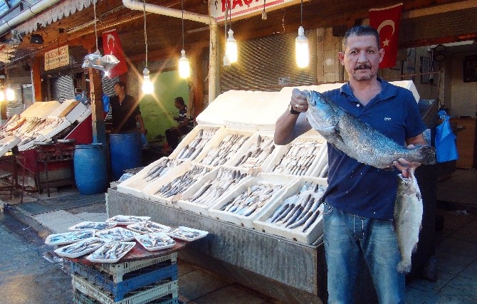 (Özel Haber) Mersin’de Balıkçılar 15 Eylül’de ’Vira Bismillah’ Diyecek