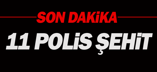 Iğdır'da Polis Aracına Saldırı: 11 Şehit, 4 Ağır Yaralı