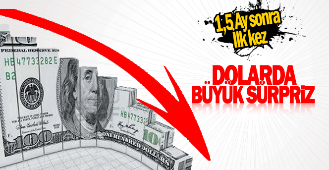 Dolar, 1,5 ay sonra 2.90 Liranın Altında