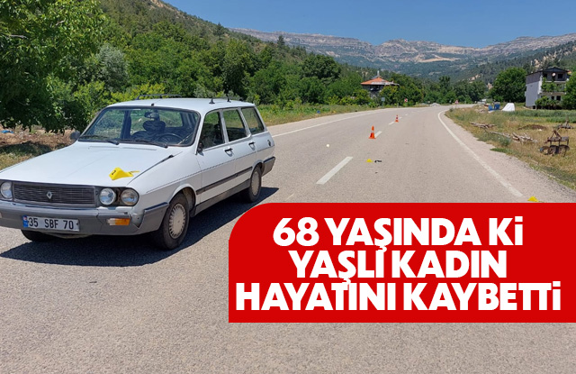 Otomobilin çarptığı yaşlı kadın hayatını kaybetti