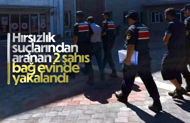 Hırsızlık suçlarından aranan 2 şahıs bağ evinde yakalandı