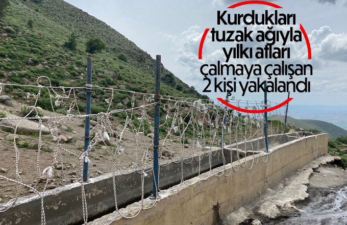 Karaman’da yılkı atlarını yakalamaya çalışan 2 kişi yakaladı