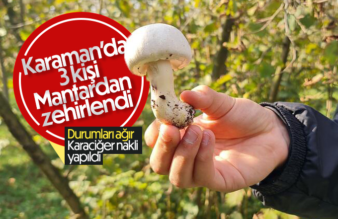 Karaman’da 3 Kişi Mantardan zehirlendi