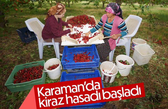 Karaman’da kiraz hasadı başladı