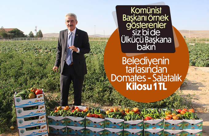 Ayrancı ilçesinde halk salatalık ve domatesin kilosunu 1 liradan alıyor