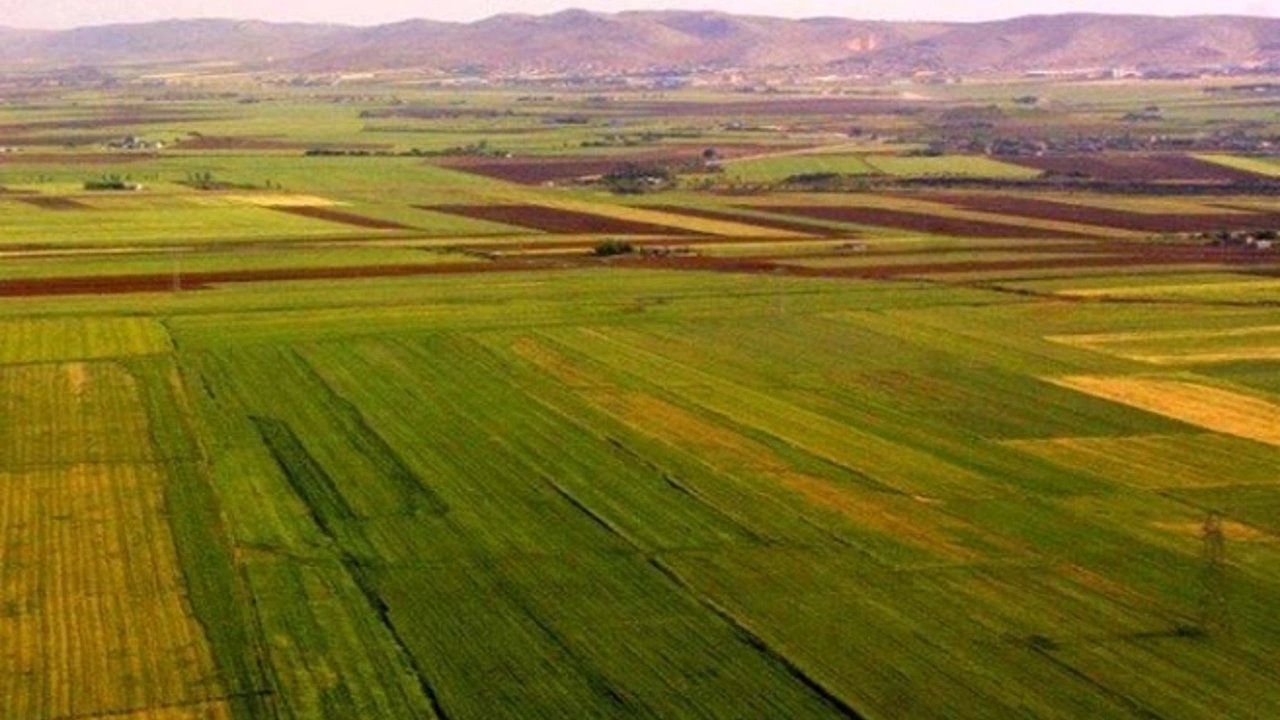 Karaman'da 20.000 Metrekarelik Arazi Mahkeme Tarafından Satışa Sunuluyor