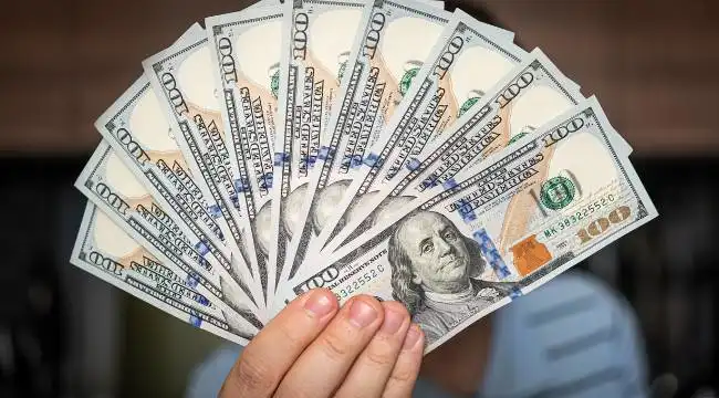 Merkez Bankası Eski Başekonomisti Resmen Açıkladı! Doların Daha Ne Kadar Düşeceği Belli Oldu!