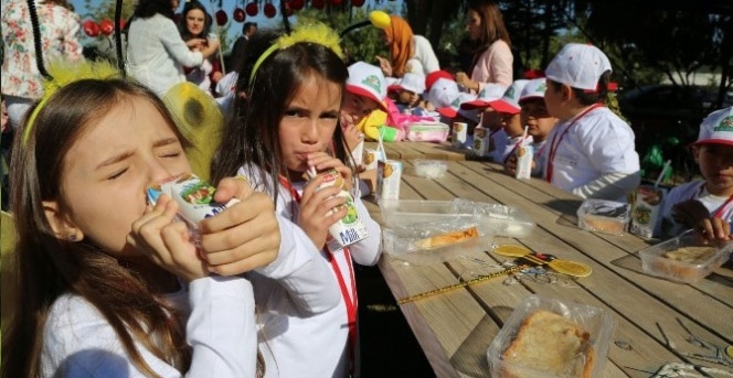 Bal Süt Ve Yumurtanın İzinde