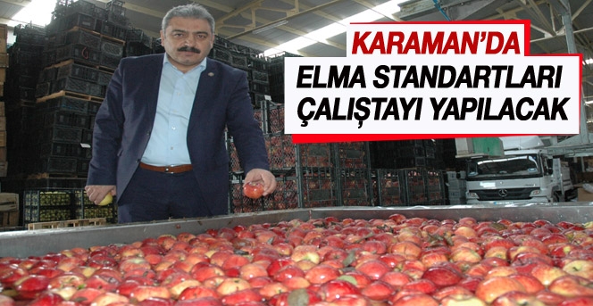 Karaman’da Elma Standartları Çalıştayı Yapılacak