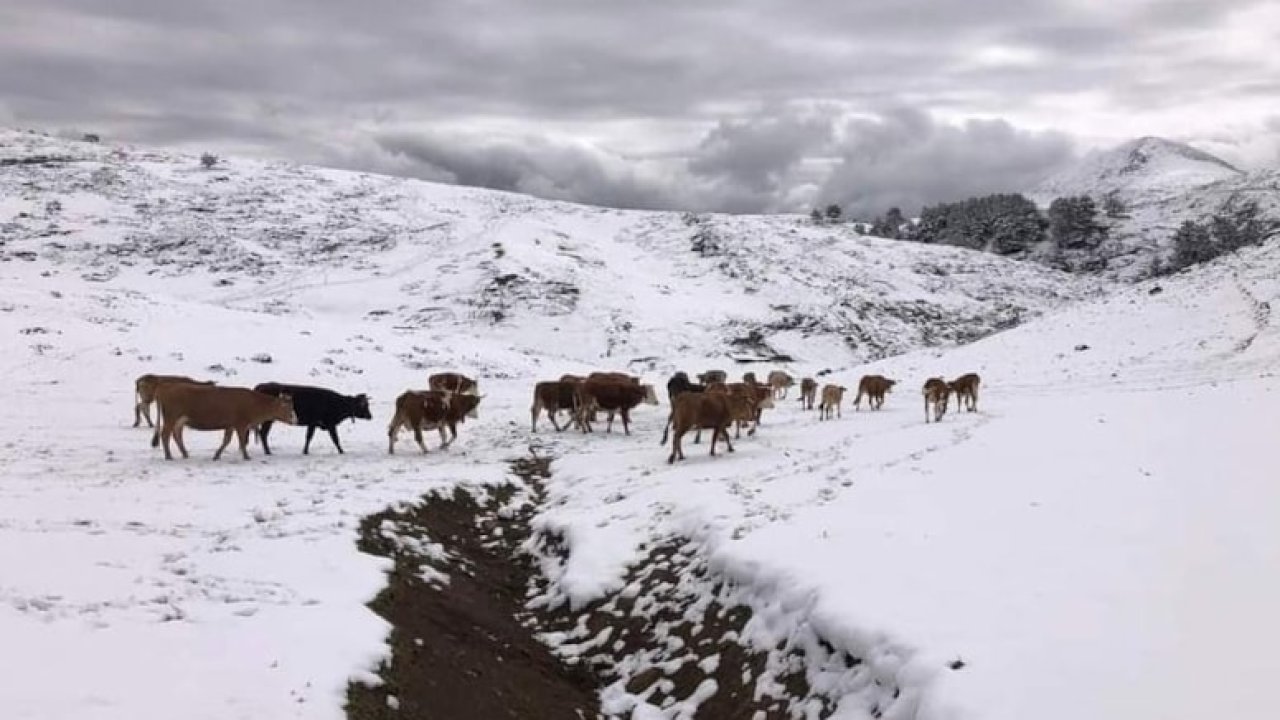 Mayıs Ayında Beklenmedik Kar Yağışı: Amasya'dan Ağrı'ya