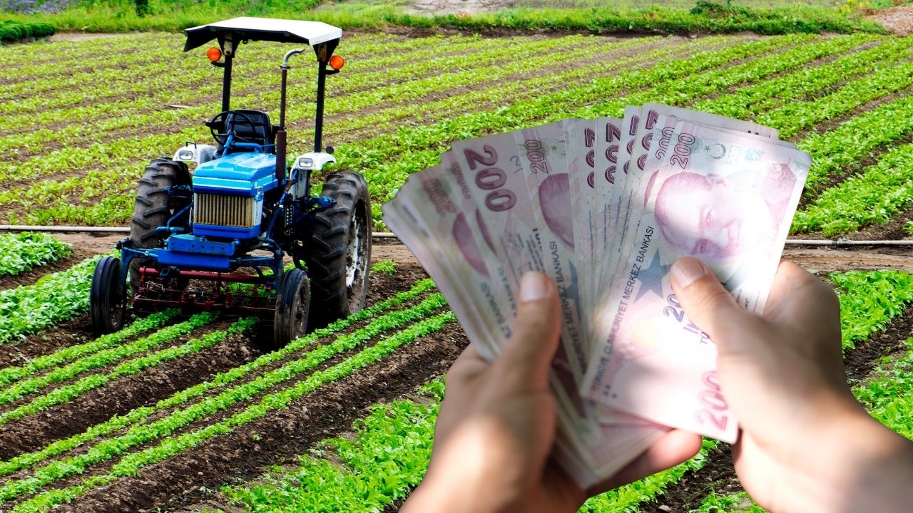 Çiftçilere YARIN Para Verilecek! Tarım Bakanlığı Yeni Ödemeleri Duyurdu