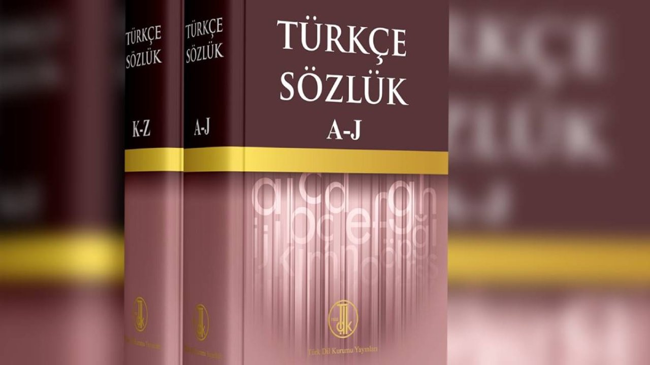 Türk Dil Kurumu, Cinsiyetçi Anlamları İçeren Kelimeleri Sözlükten Kaldırdı