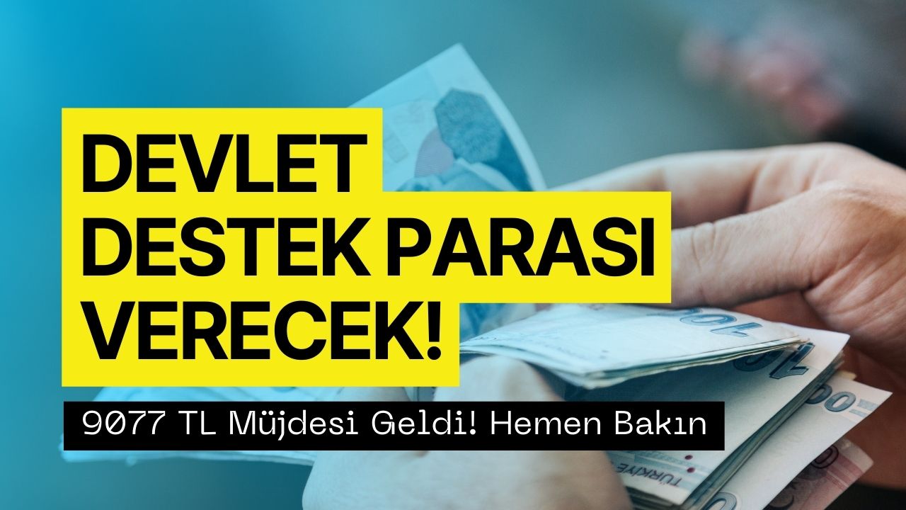 Vatandaşlara 9 Bin 77 TL Ödenecek! Devlet Desteğini Başvuru Yapan Alacak