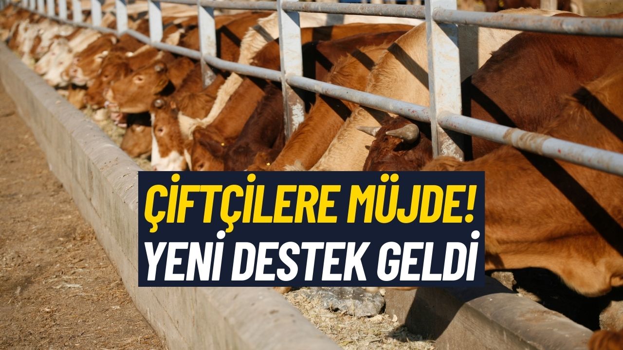 Çiftçiler Bayram Edecek! YENİ DESTEK Davul Zurnayla Kutlanacak