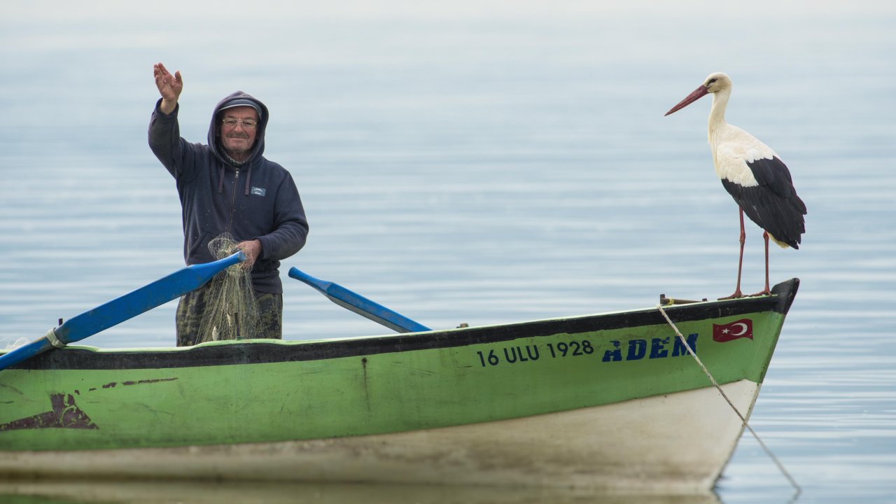 14’üncü Defa Adem Amcayla Buluşan Yaren Leylek Göç Etti!