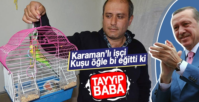 Cumhurbaşkanı Erdoğan Hayranı Kuş