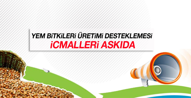 Yem Bitkileri Üretimi Desteklemesi İcmalleri Askıda