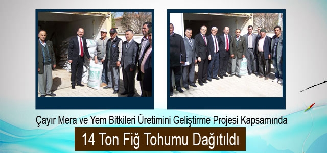 14 Ton Fiğ Tohumu Dağıtıldı