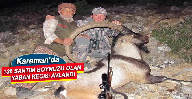 Karaman’da 136 Santim Boynuzu Olan Yaban Keçisi Avlandı