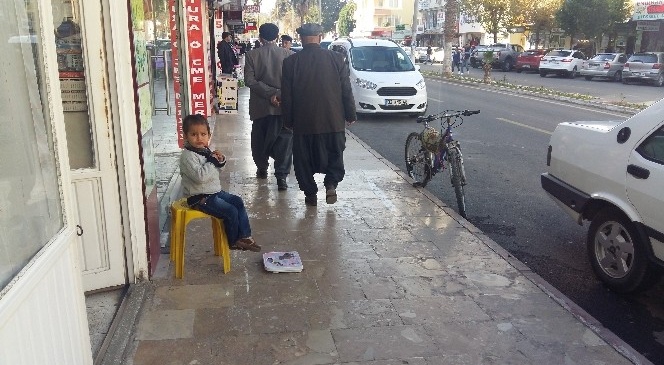 Dilendirilen Suriyeli Çocuklar Sokaklardan Toplanıyor