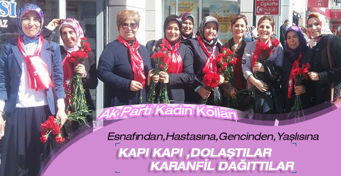 Ak Parti Kadın Kolları Kapı Kapı Dolaşıp Karanfil Dağıttılar