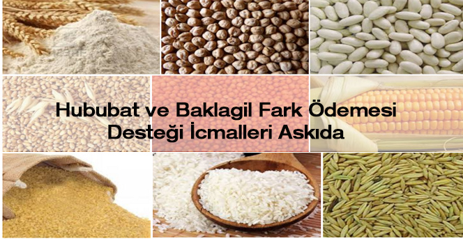 Hububat ve Baklagil Fark Ödemesi(1. Fark ) Desteği İcmalleri Askıda