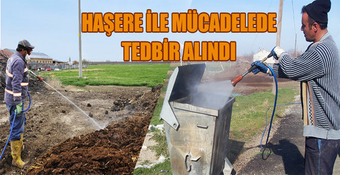 Haşere İle Mücadelede Tedbir Alındı