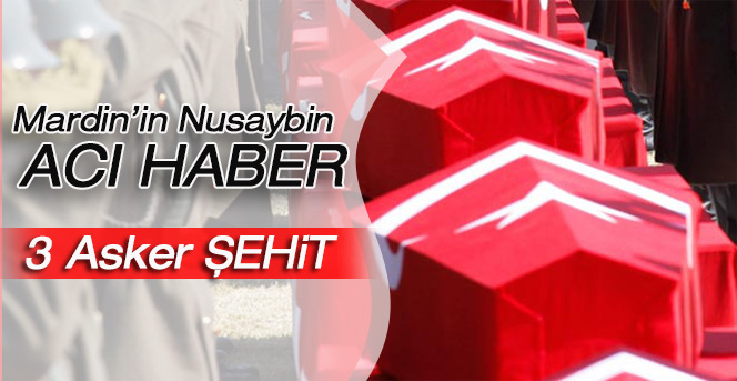 Nusaybin’de 3 asker şehit oldu