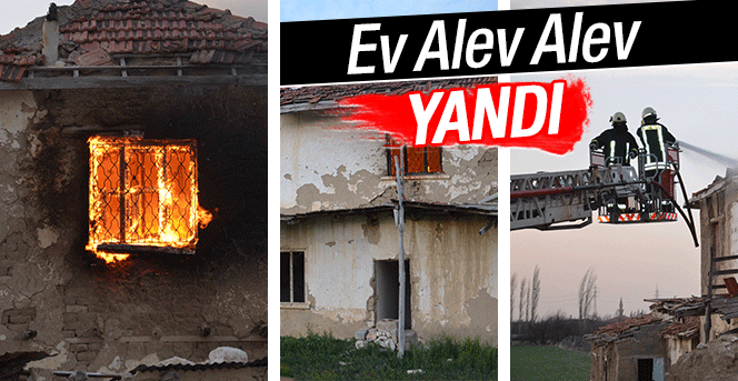 Ev Alev Alev Yandı