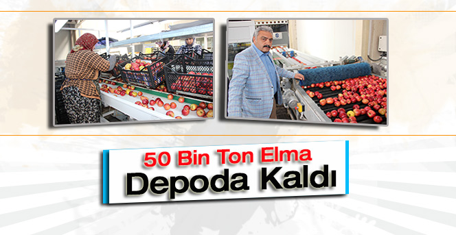 Elmalar Depoda Satılmayı Bekliyor