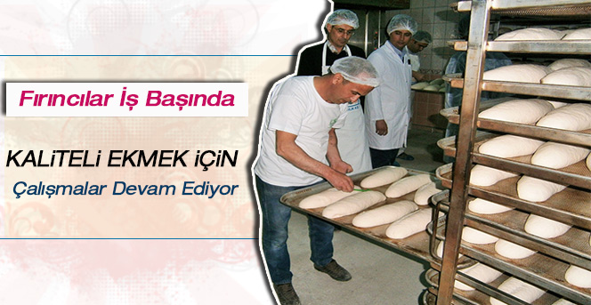 Ekmek Kalitesinin Arttırılması İçin Farklı Açılımlar