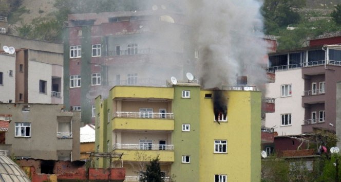 Şırnak’ın yüzde 65’i temizlendi