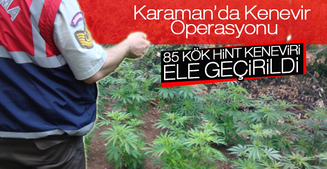 Karaman’da Kenevir Operasyonu