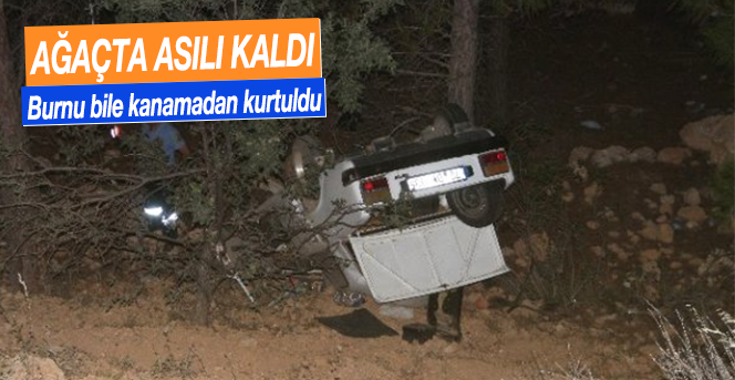 Kadın Sürücü Ağaçta Asılı Kalan Araçtan Sağ Çıktı