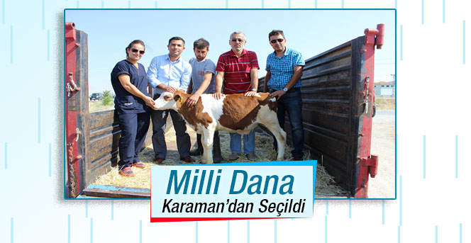 Milli Dana Karaman’dan Seçildi