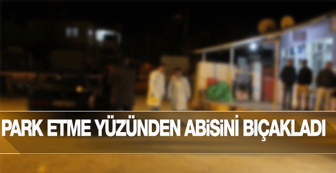 Park yüzünden abisini bıçakladı