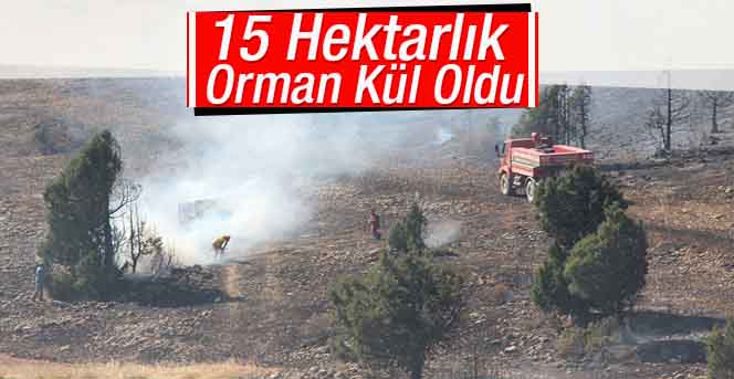 Karaman’da 15 Hektarlık Orman Kül Oldu