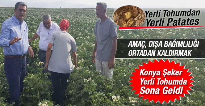 Konya Şeker Yerli Tohumda Sona Geldi