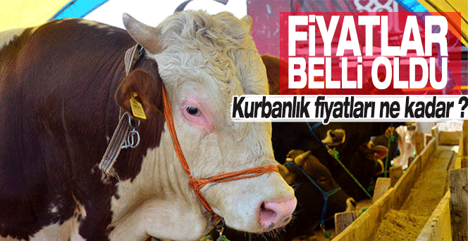 Kurbanlık fiyatları açıklandı